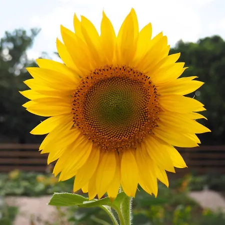 Swara Slow Living Habitación en casa particular *