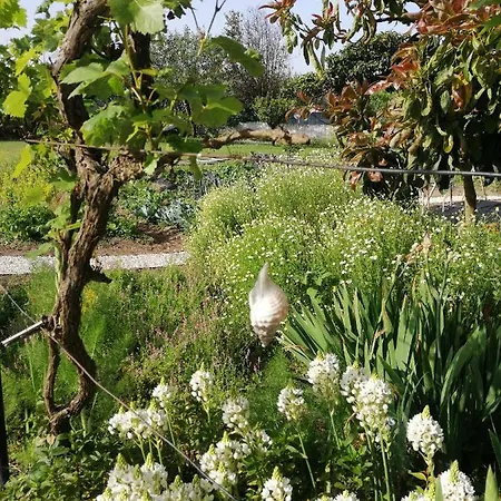 Swara Slow Living Privatunterkunft *