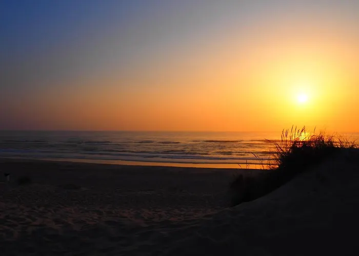 Swara Slow Living 民宿