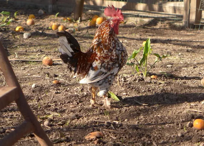 Swara Slow Living 民宿 阿威罗