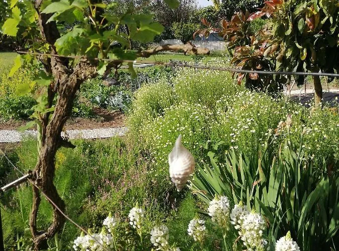 Swara Slow Living 民宿 *